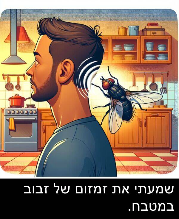 זמזום: שמעתי את זמזום של זבוב במטבח.