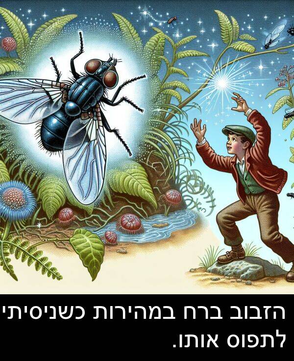 אותו: הזבוב ברח במהירות כשניסיתי לתפוס אותו.