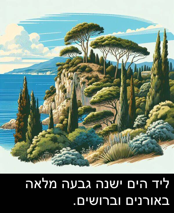 באורנים: ליד הים ישנה גבעה מלאה באורנים וברושים.