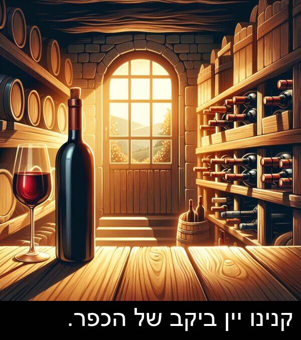 קנינו: קנינו יין ביקב של הכפר.