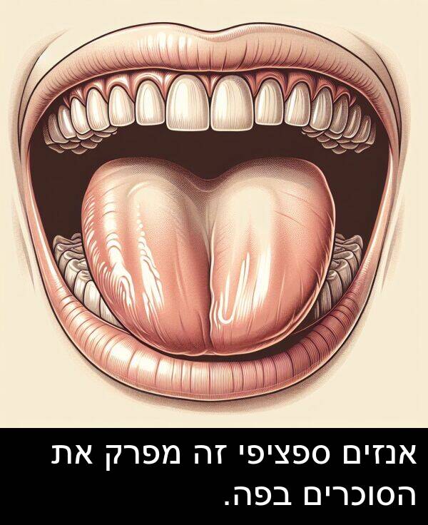 ספציפי: אנזים ספציפי זה מפרק את הסוכרים בפה.