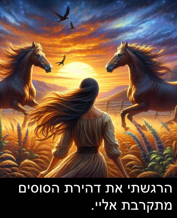 דהירת: הרגשתי את דהירת הסוסים מתקרבת אליי.