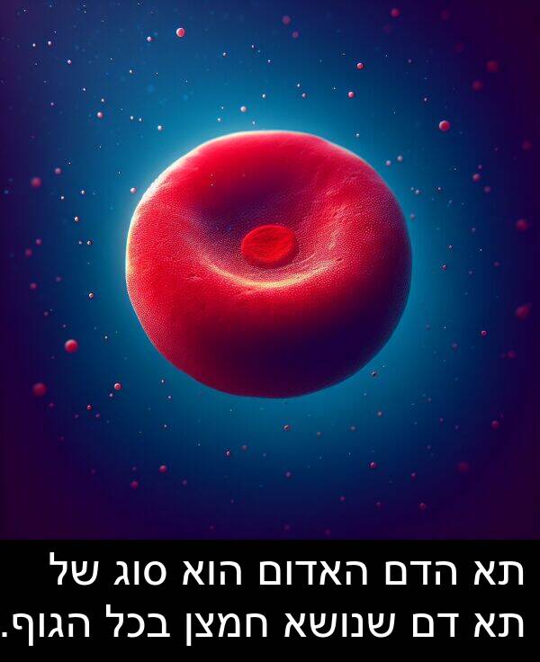 סוג: תא הדם האדום הוא סוג של תא דם שנושא חמצן בכל הגוף.