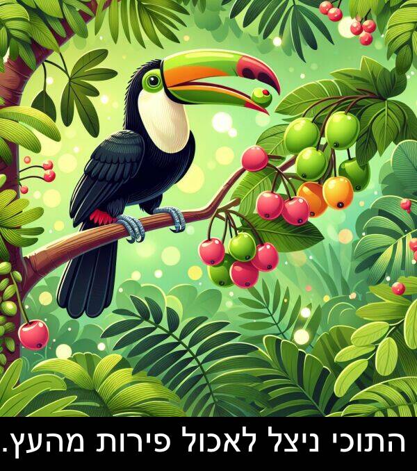 פירות: התוכי ניצל לאכול פירות מהעץ.