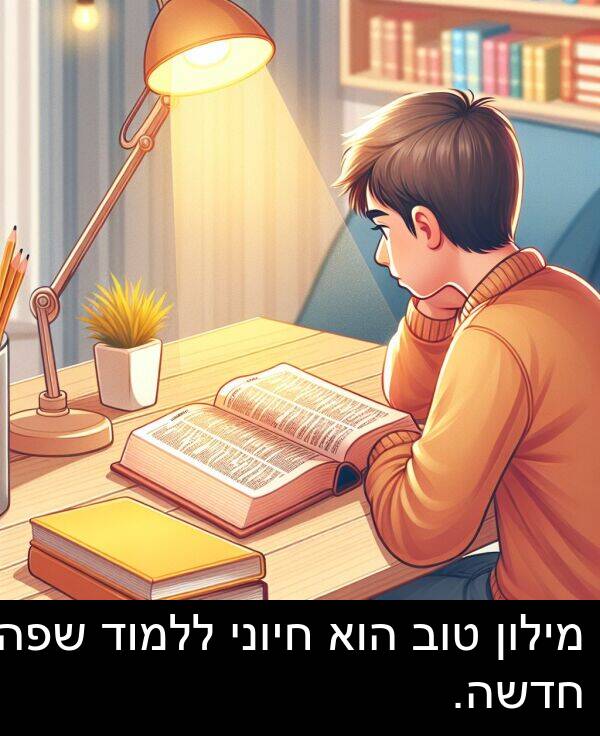 טוב: מילון טוב הוא חיוני ללמוד שפה חדשה.