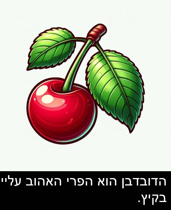 עליי: הדובדבן הוא הפרי האהוב עליי בקיץ.