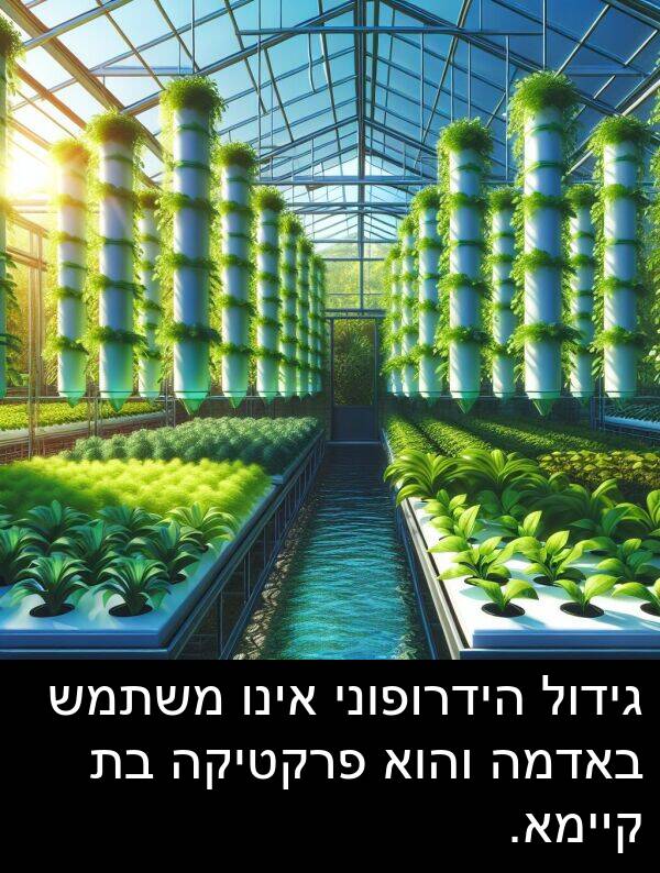 באדמה: גידול הידרופוני אינו משתמש באדמה והוא פרקטיקה בת קיימא.