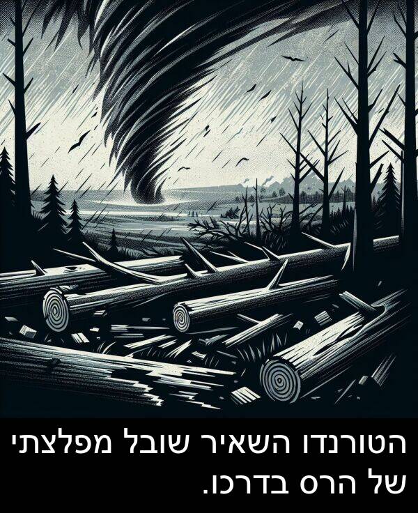 בדרכו: הטורנדו השאיר שובל מפלצתי של הרס בדרכו.