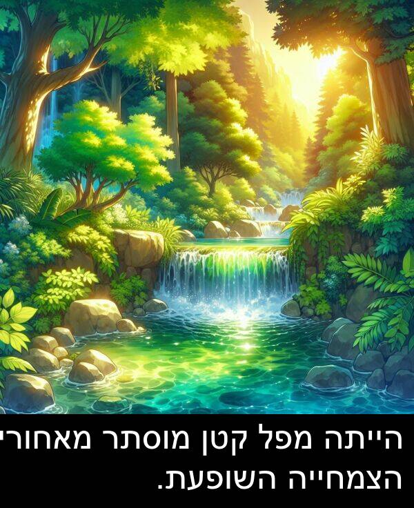 מאחורי: הייתה מפל קטן מוסתר מאחורי הצמחייה השופעת.