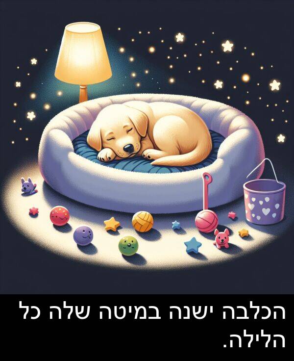 ישנה: הכלבה ישנה במיטה שלה כל הלילה.