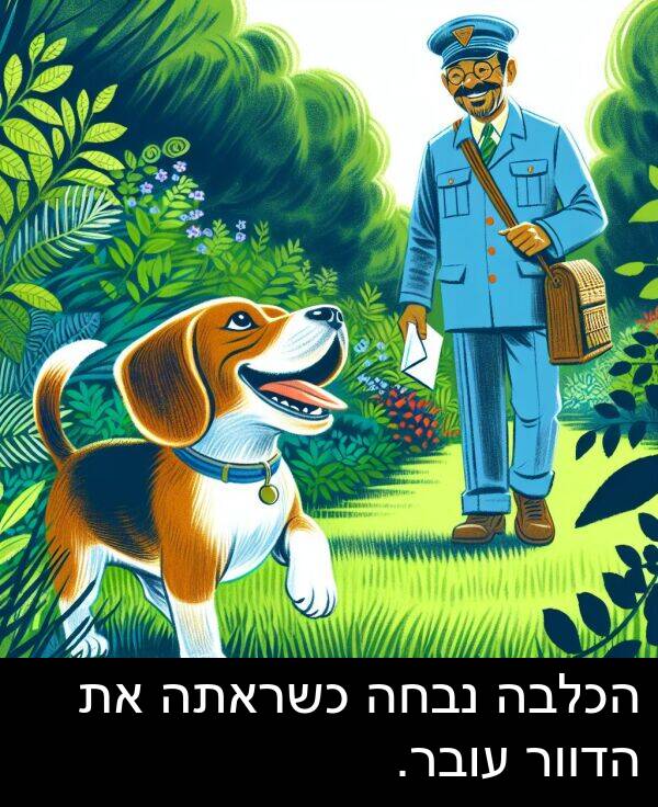 עובר: הכלבה נבחה כשראתה את הדוור עובר.