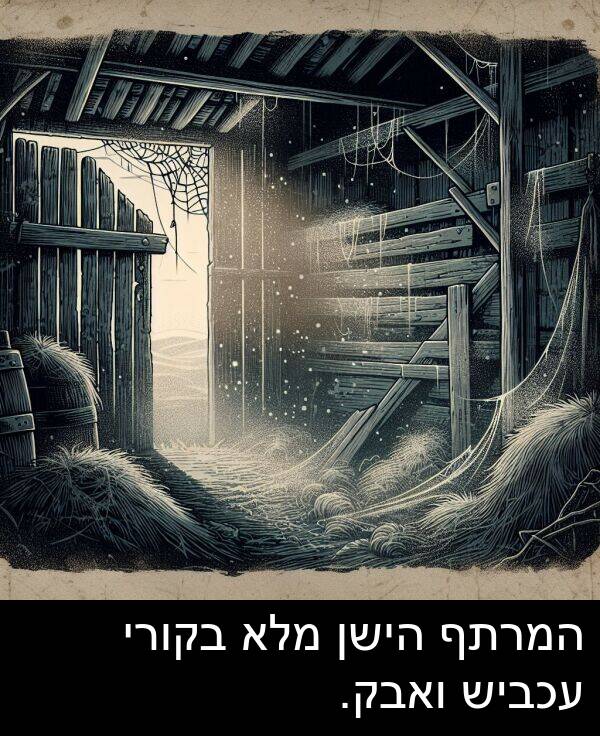 עכביש: המרתף הישן מלא בקורי עכביש ואבק.