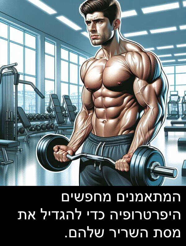 השריר: המתאמנים מחפשים היפרטרופיה כדי להגדיל את מסת השריר שלהם.