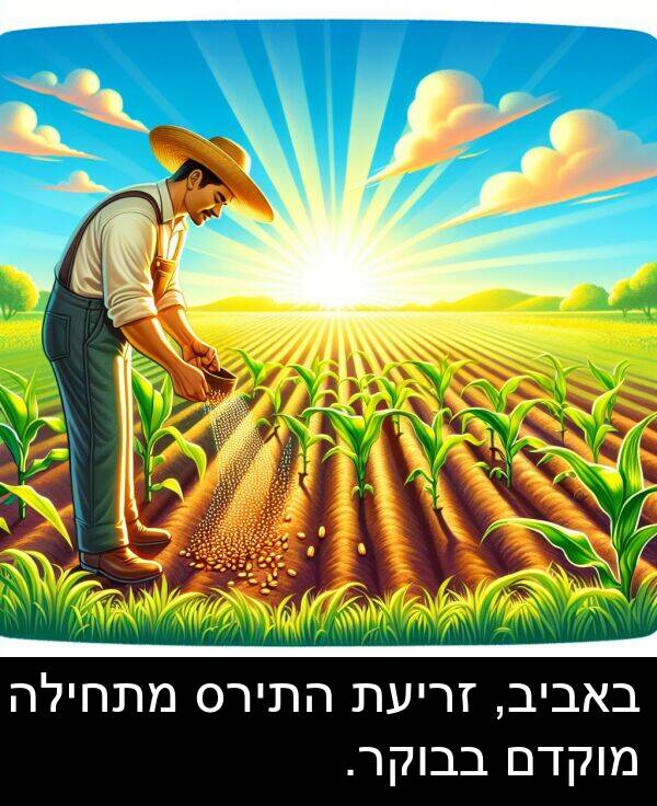 באביב: באביב, זריעת התירס מתחילה מוקדם בבוקר.