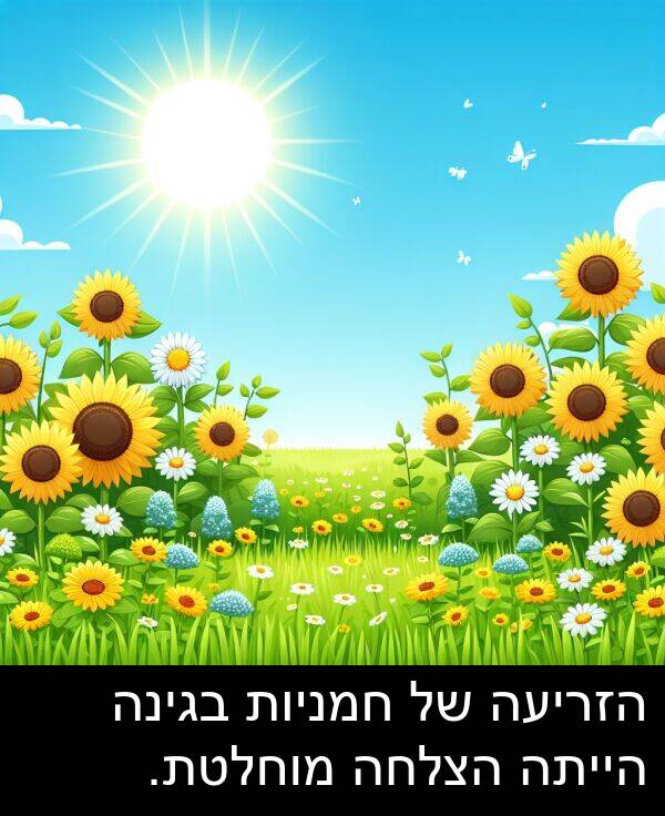 בגינה: הזריעה של חמניות בגינה הייתה הצלחה מוחלטת.