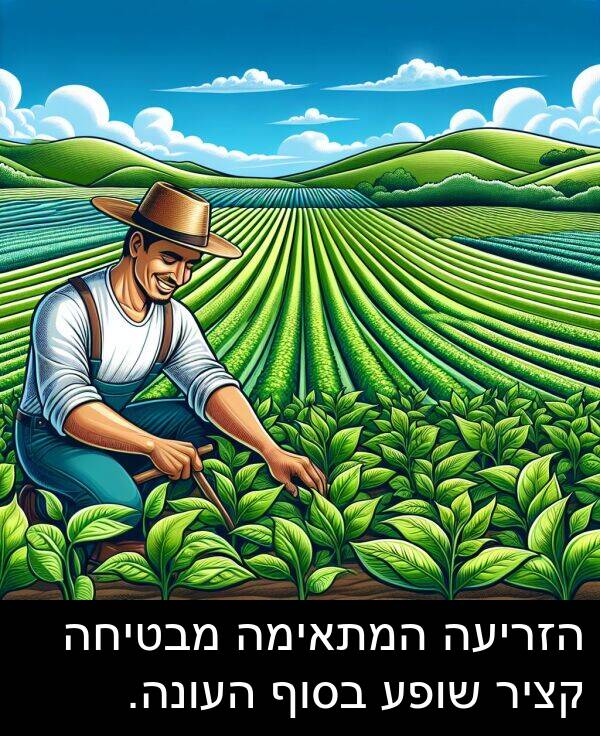 מבטיחה: הזריעה המתאימה מבטיחה קציר שופע בסוף העונה.