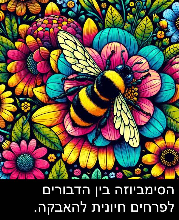 חיונית: הסימביוזה בין הדבורים לפרחים חיונית להאבקה.
