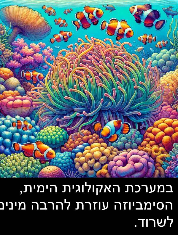 עוזרת: במערכת האקולוגית הימית, הסימביוזה עוזרת להרבה מינים לשרוד.