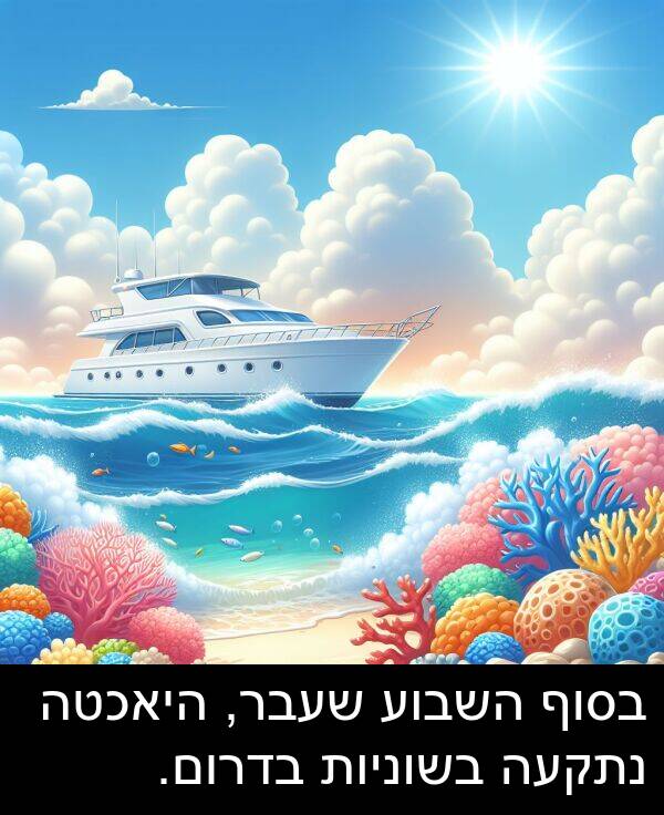 בדרום: בסוף השבוע שעבר, היאכטה נתקעה בשוניות בדרום.