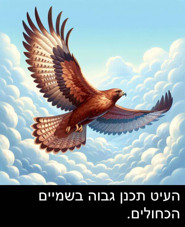 העיט: העיט תכנן גבוה בשמיים הכחולים.