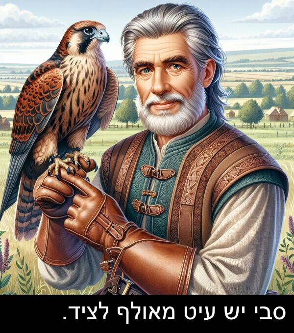 מאולף: סבי יש עיט מאולף לציד.