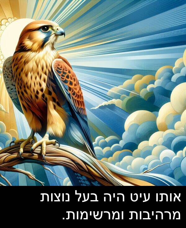 אותו: אותו עיט היה בעל נוצות מרהיבות ומרשימות.