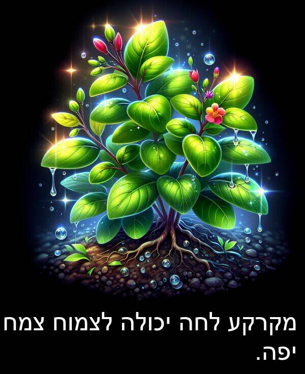 צמח: מקרקע לחה יכולה לצמוח צמח יפה.