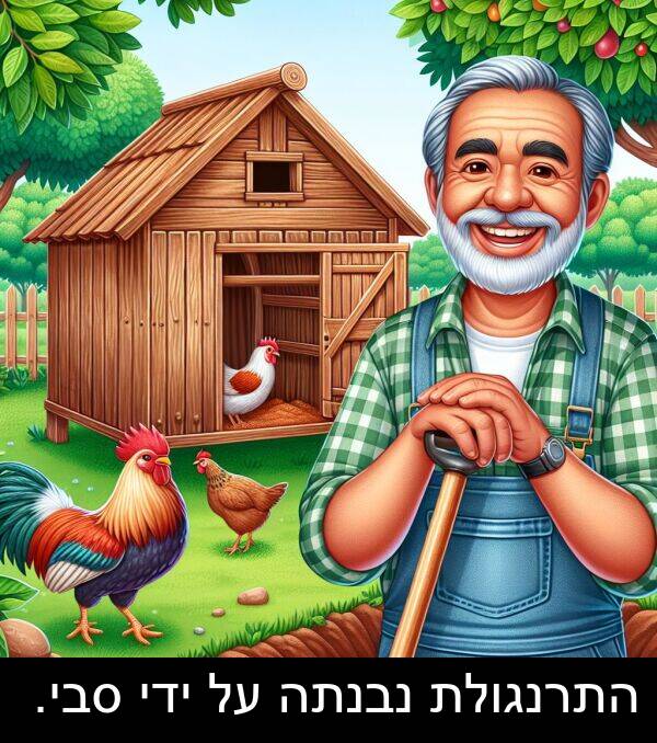 סבי: התרנגולת נבנתה על ידי סבי.