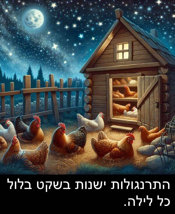 ישנות: התרנגולות ישנות בשקט בלול כל לילה.