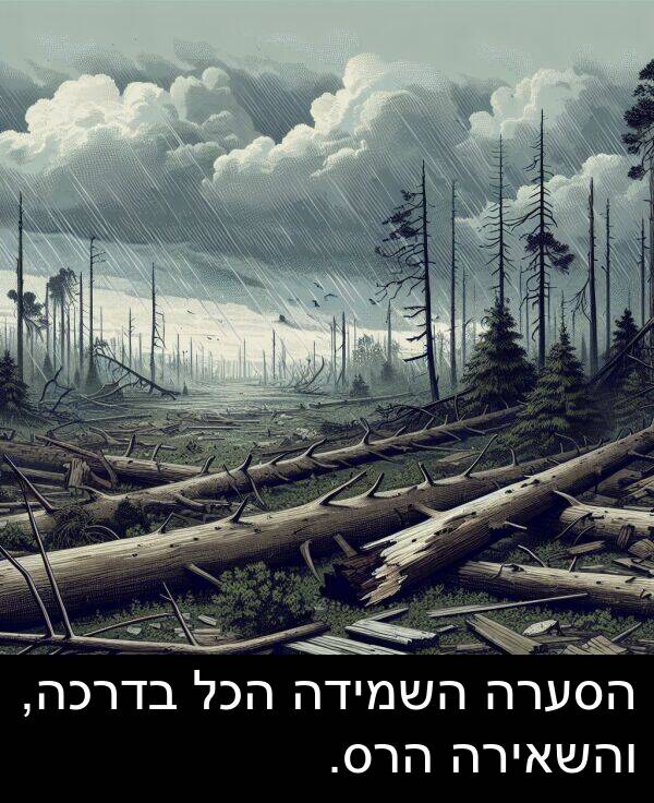 בדרכה: הסערה השמידה הכל בדרכה, והשאירה הרס.