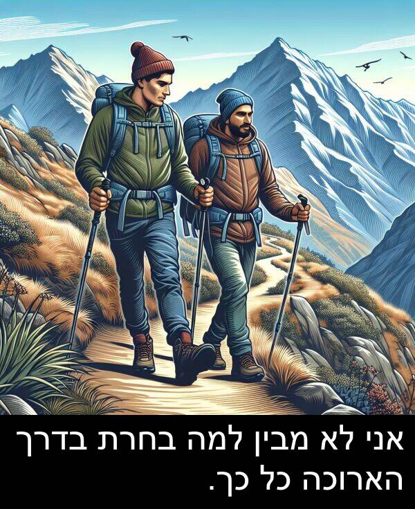 בדרך: אני לא מבין למה בחרת בדרך הארוכה כל כך.