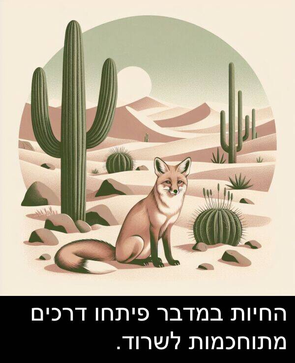 פיתחו: החיות במדבר פיתחו דרכים מתוחכמות לשרוד.