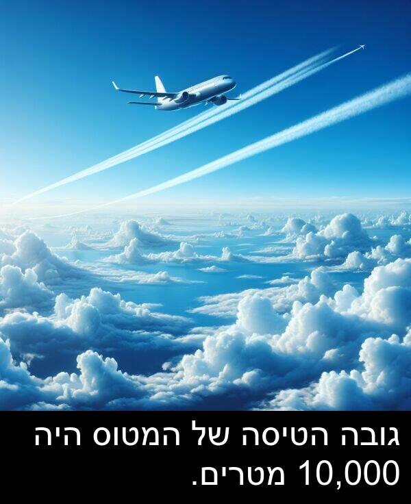 גובה: גובה הטיסה של המטוס היה 10,000 מטרים.