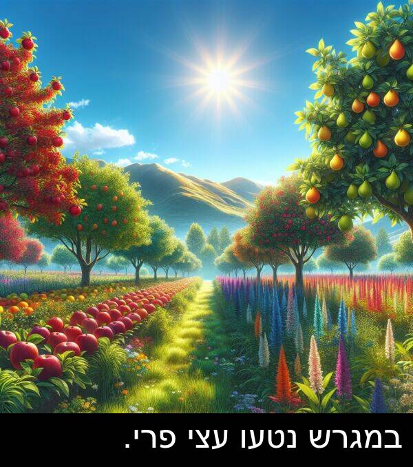 עצי: במגרש נטעו עצי פרי.