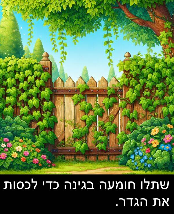 בגינה: שתלו חומעה בגינה כדי לכסות את הגדר.