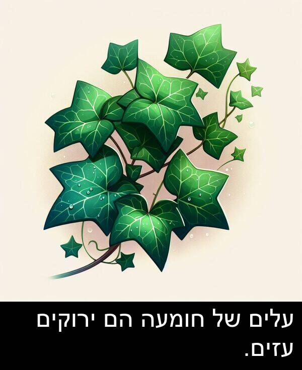 עלים: עלים של חומעה הם ירוקים עזים.
