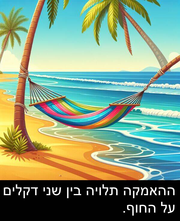דקלים: ההאמקה תלויה בין שני דקלים על החוף.