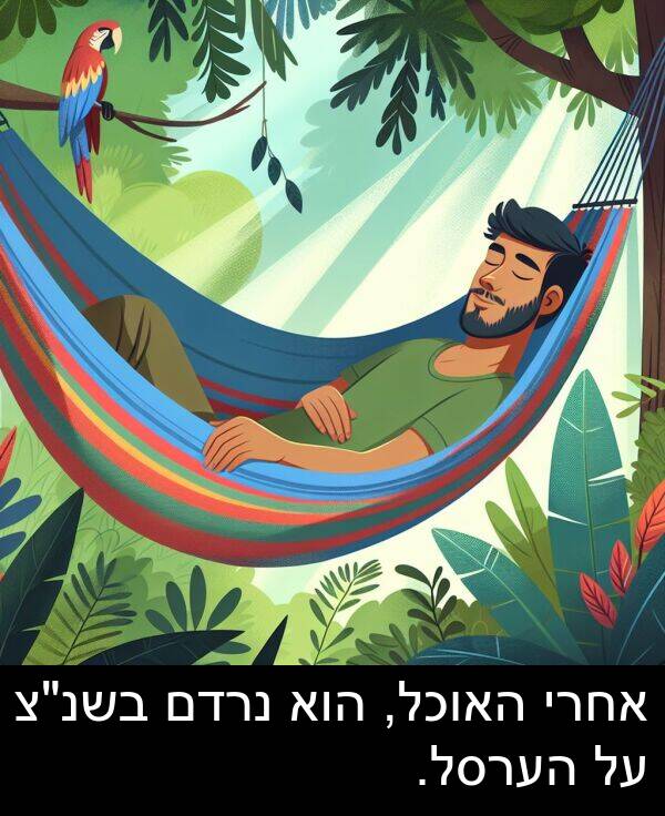 אחרי: אחרי האוכל, הוא נרדם בשנ"צ על הערסל.
