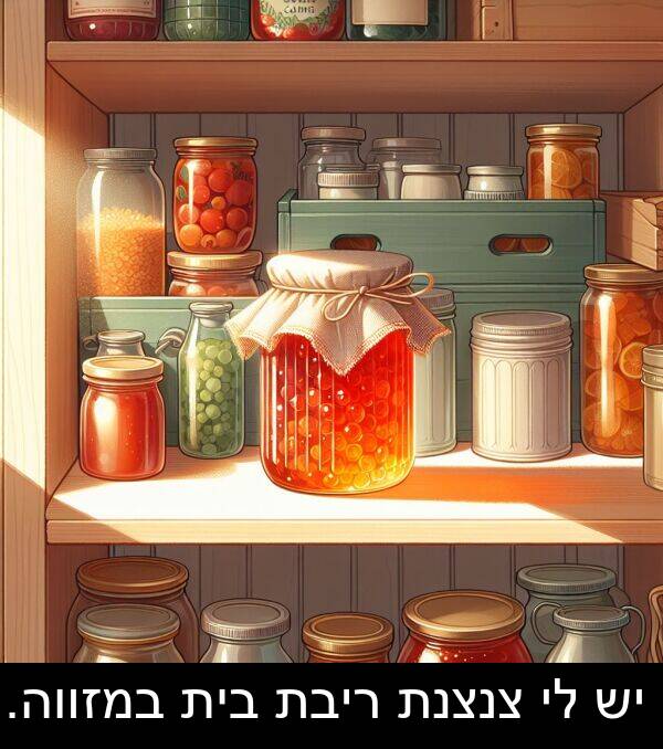 צנצנת: יש לי צנצנת ריבת בית במזווה.