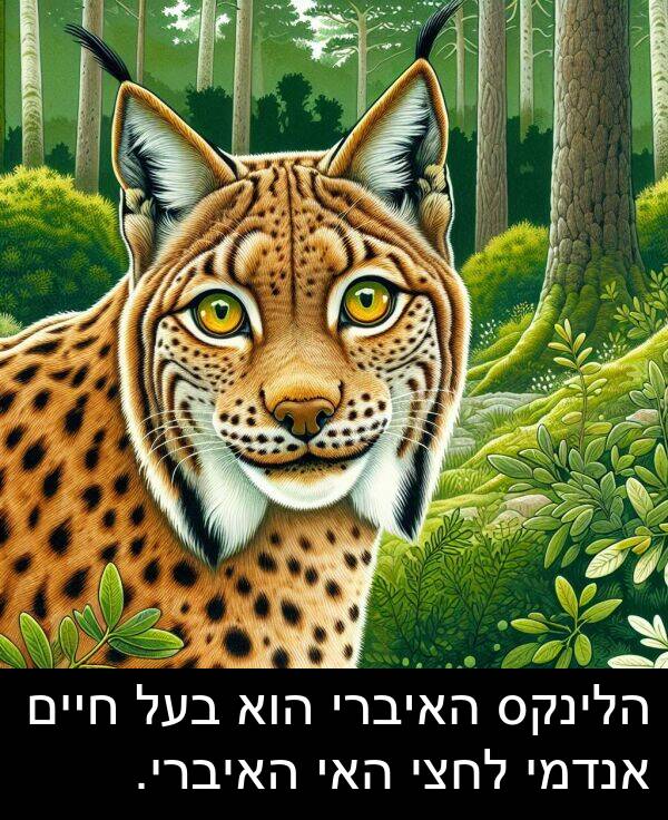 חיים: הלינקס האיברי הוא בעל חיים אנדמי לחצי האי האיברי.