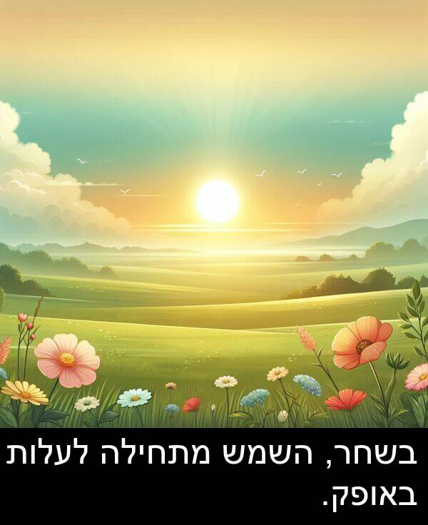 באופק: בשחר, השמש מתחילה לעלות באופק.