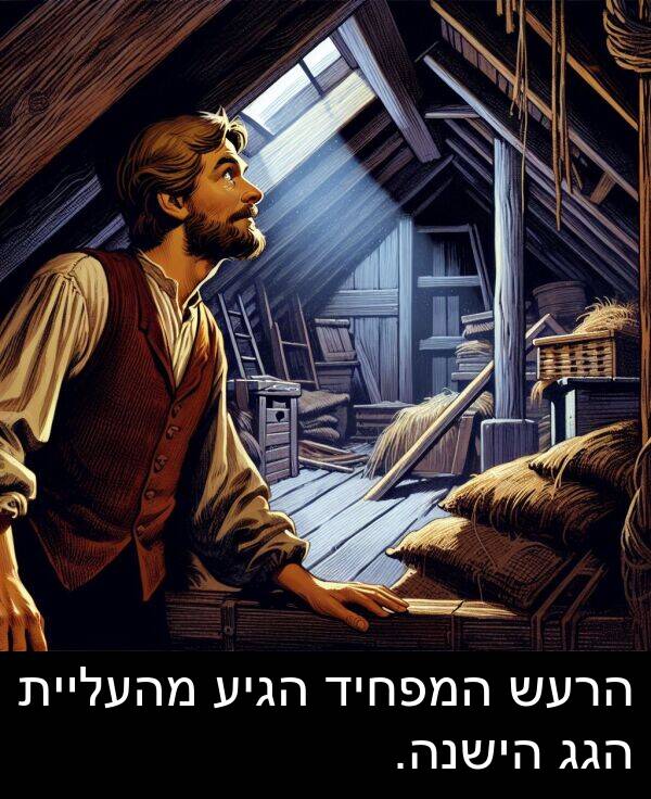הגיע: הרעש המפחיד הגיע מהעליית הגג הישנה.