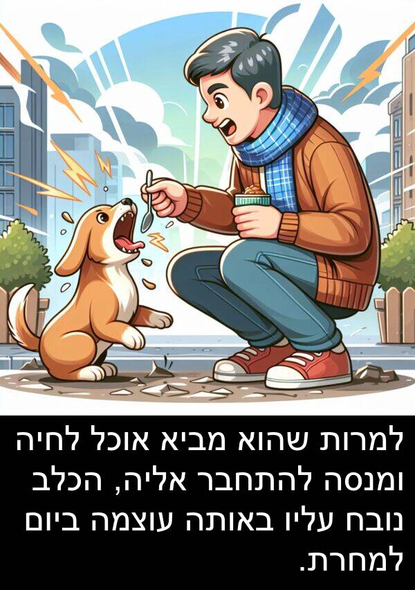 באותה: למרות שהוא מביא אוכל לחיה ומנסה להתחבר אליה, הכלב נובח עליו באותה עוצמה ביום למחרת.