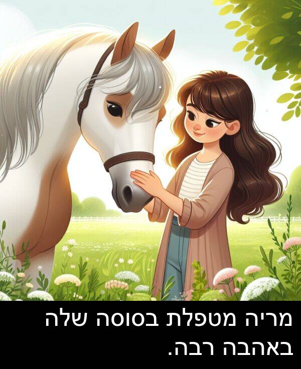 רבה: מריה מטפלת בסוסה שלה באהבה רבה.