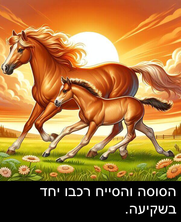 יחד: הסוסה והסייח רכבו יחד בשקיעה.
