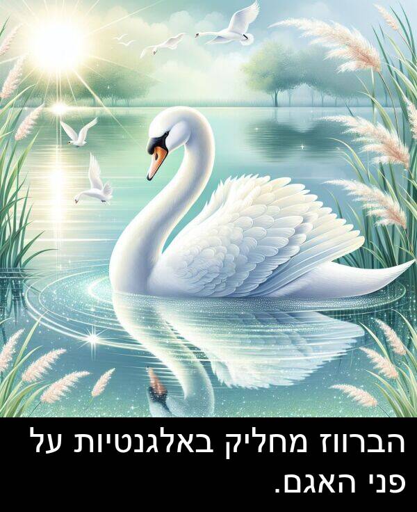 פני: הברווז מחליק באלגנטיות על פני האגם.