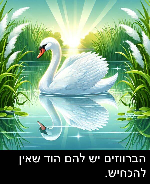 שאין: הברווזים יש להם הוד שאין להכחיש.
