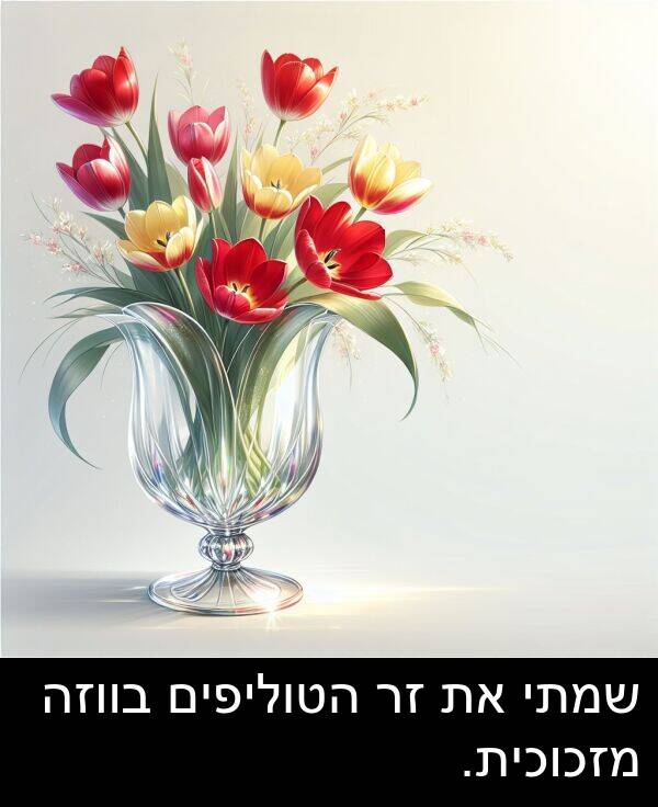 הטוליפים: שמתי את זר הטוליפים בווזה מזכוכית.