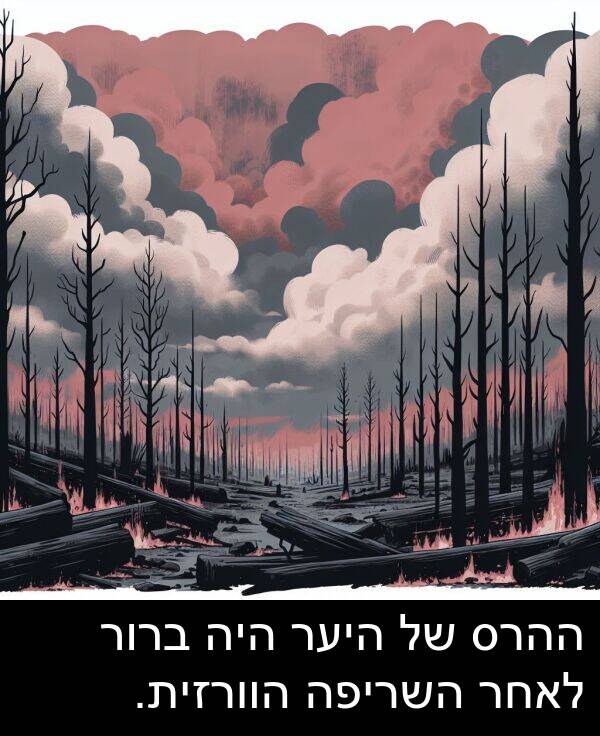 השריפה: ההרס של היער היה ברור לאחר השריפה הוורזית.