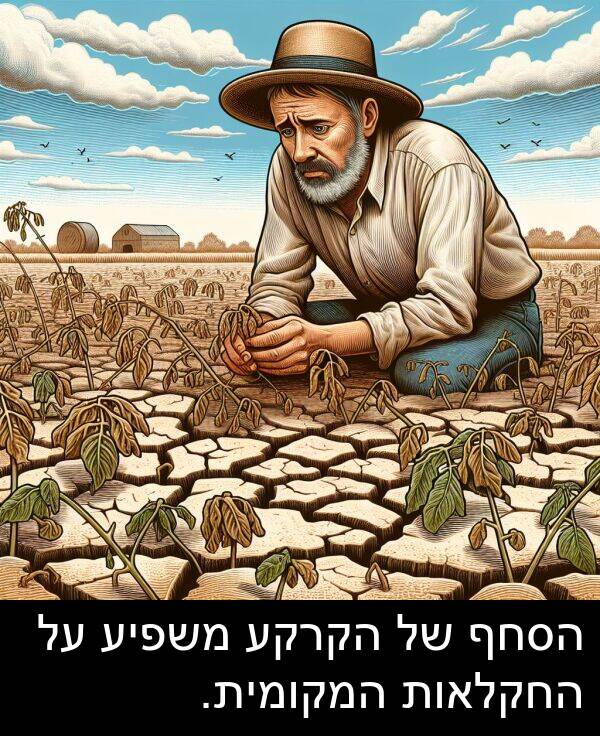 משפיע: הסחף של הקרקע משפיע על החקלאות המקומית.